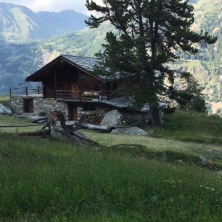 Baite Cialvrina Villa Gressoney-Saint-Jean Dış mekan fotoğraf