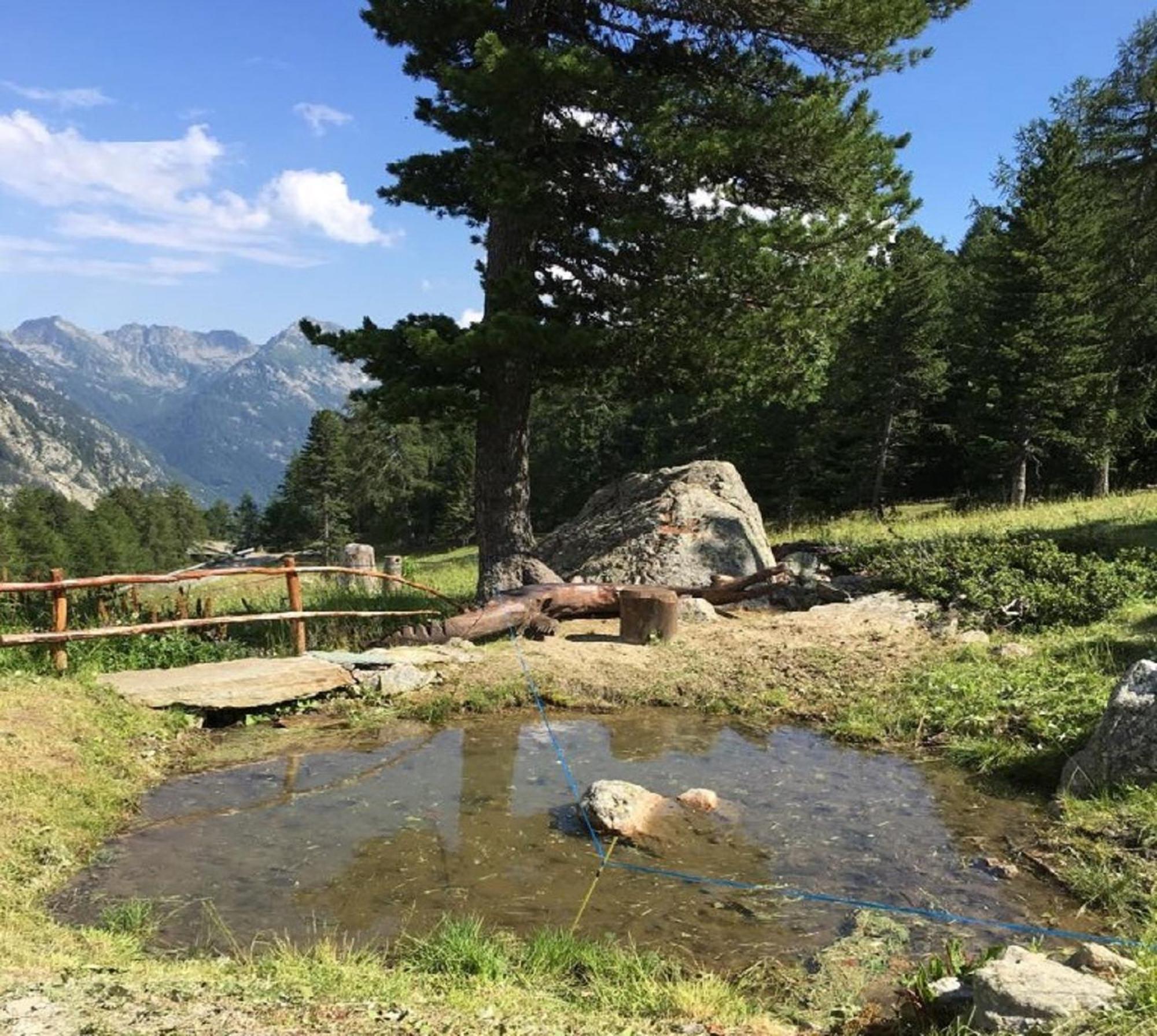 Baite Cialvrina Villa Gressoney-Saint-Jean Dış mekan fotoğraf