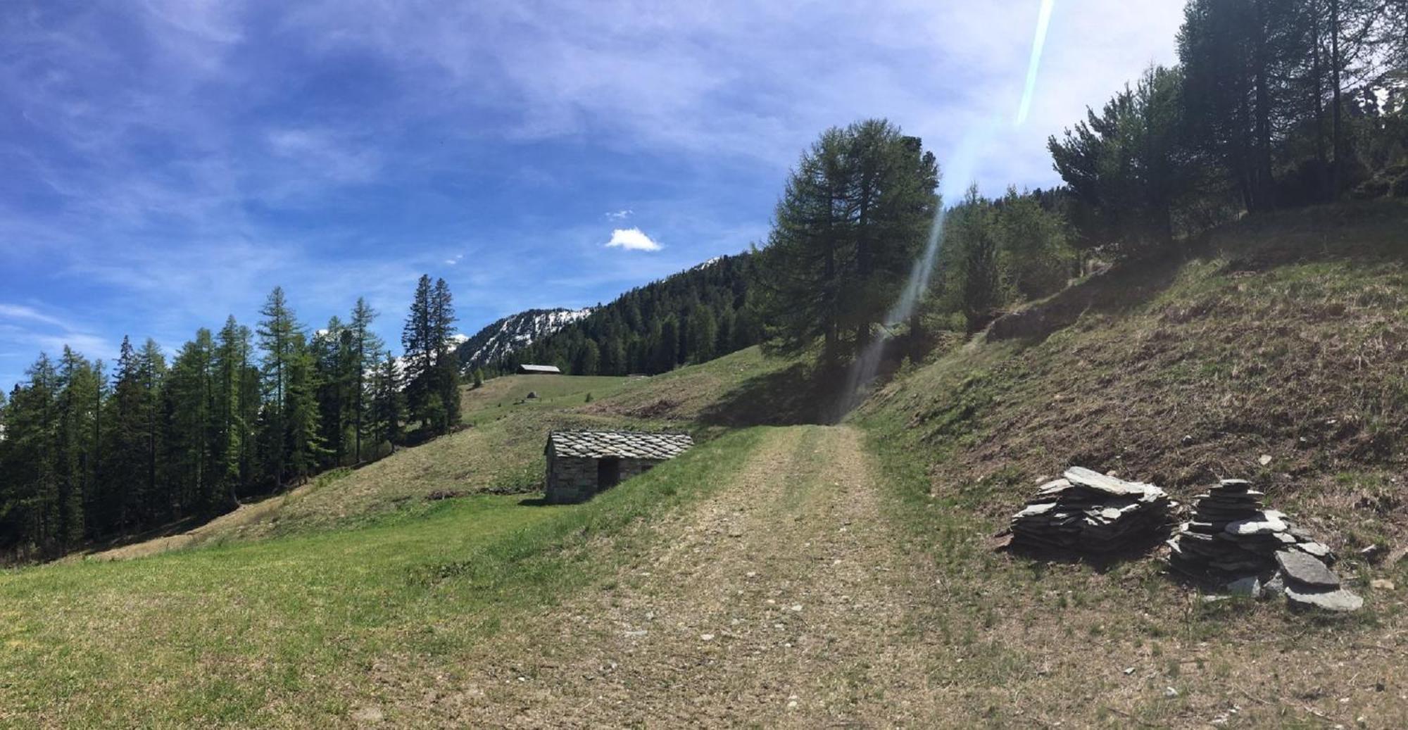 Baite Cialvrina Villa Gressoney-Saint-Jean Dış mekan fotoğraf