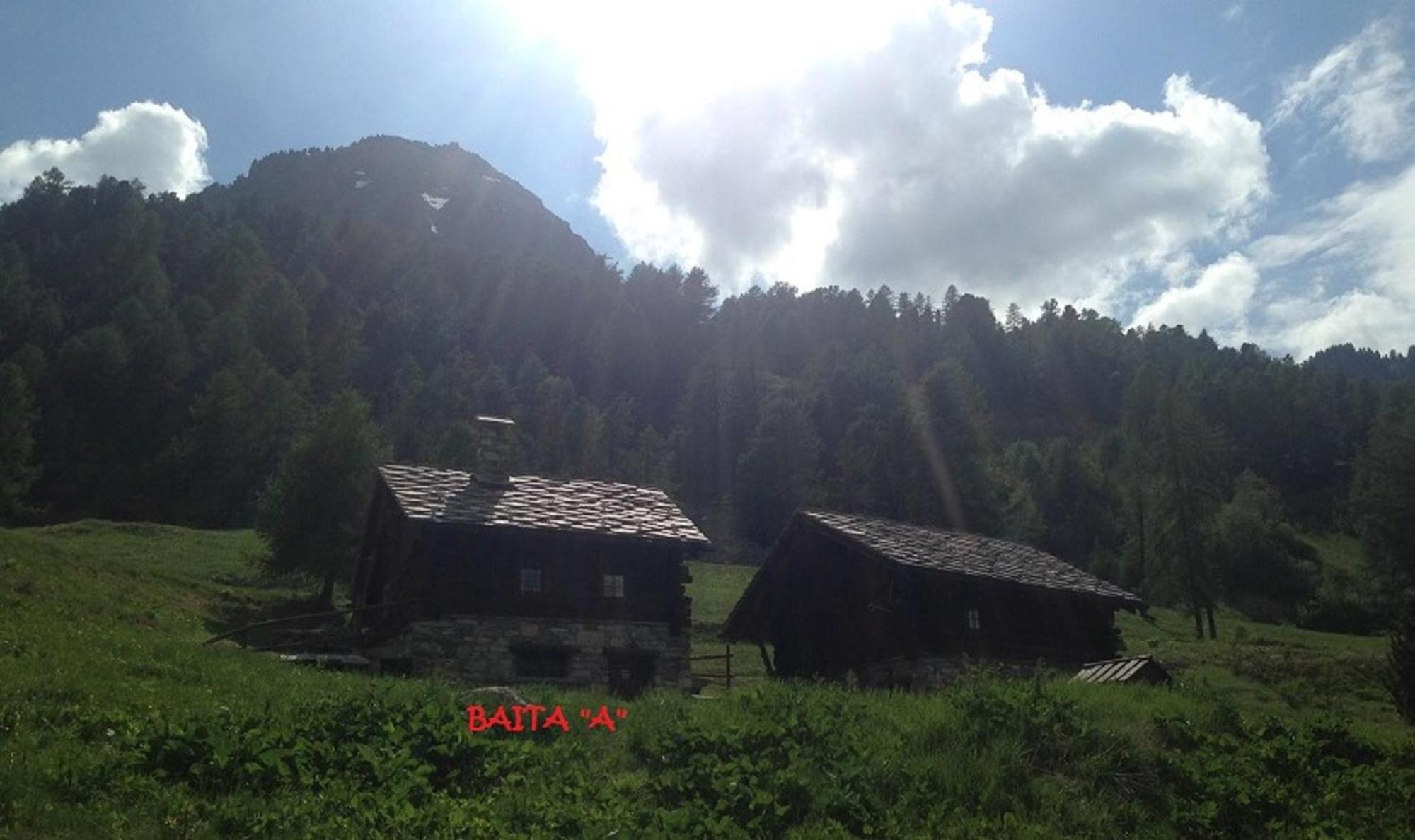 Baite Cialvrina Villa Gressoney-Saint-Jean Dış mekan fotoğraf
