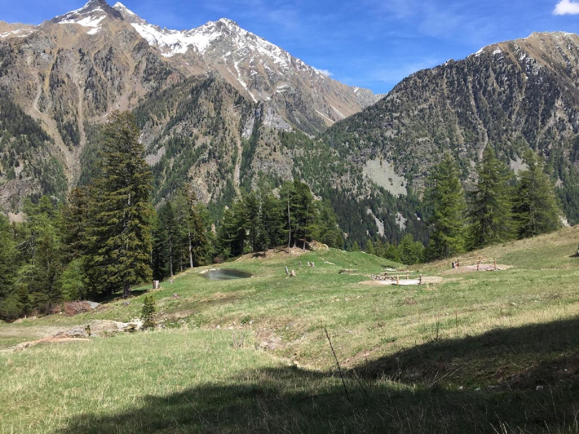 Baite Cialvrina Villa Gressoney-Saint-Jean Dış mekan fotoğraf