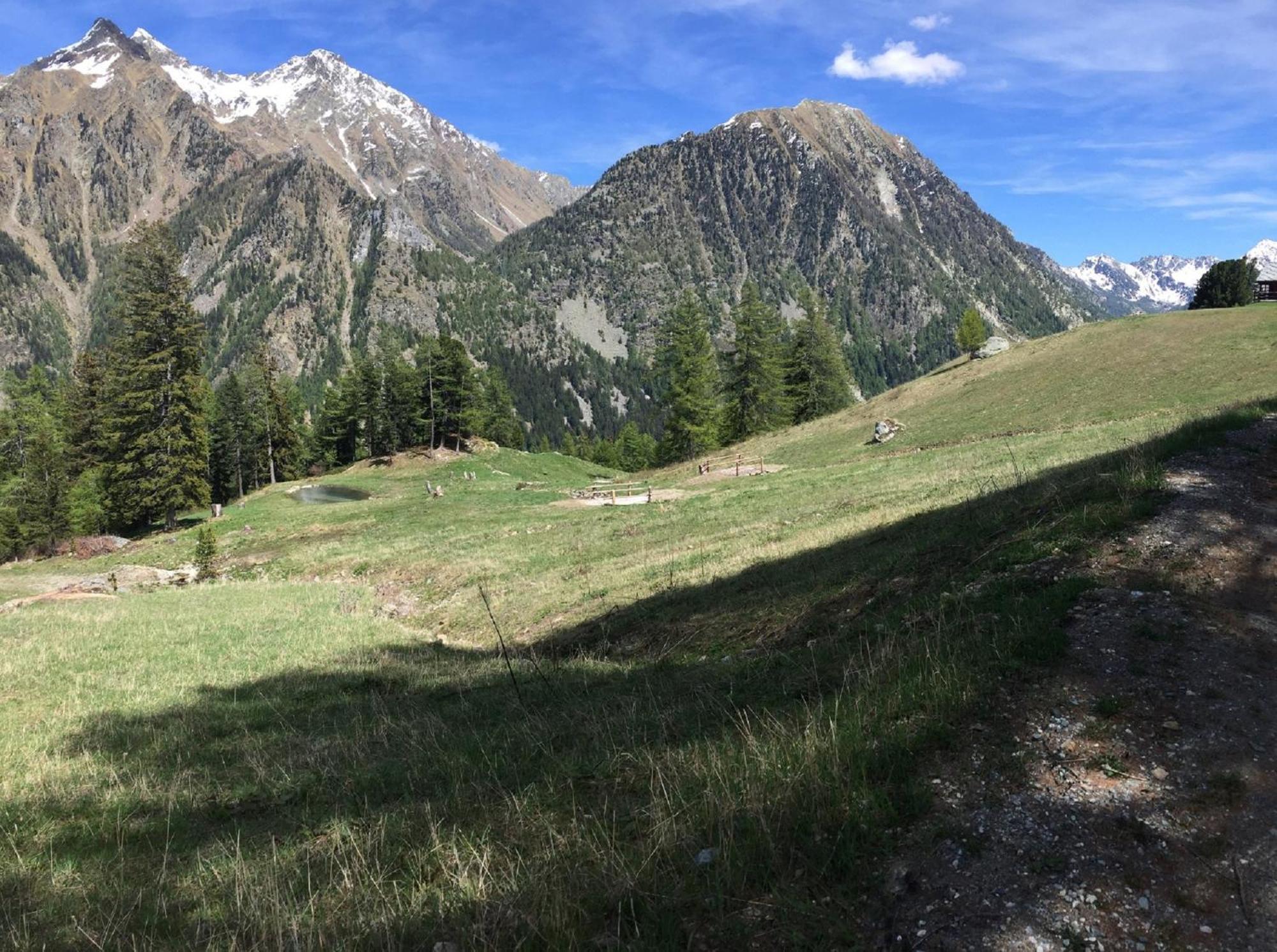 Baite Cialvrina Villa Gressoney-Saint-Jean Dış mekan fotoğraf