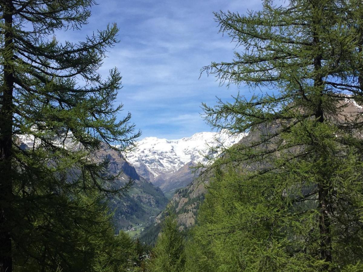 Baite Cialvrina Villa Gressoney-Saint-Jean Dış mekan fotoğraf