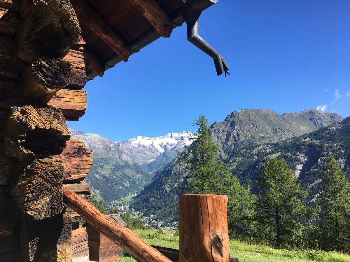 Baite Cialvrina Villa Gressoney-Saint-Jean Dış mekan fotoğraf
