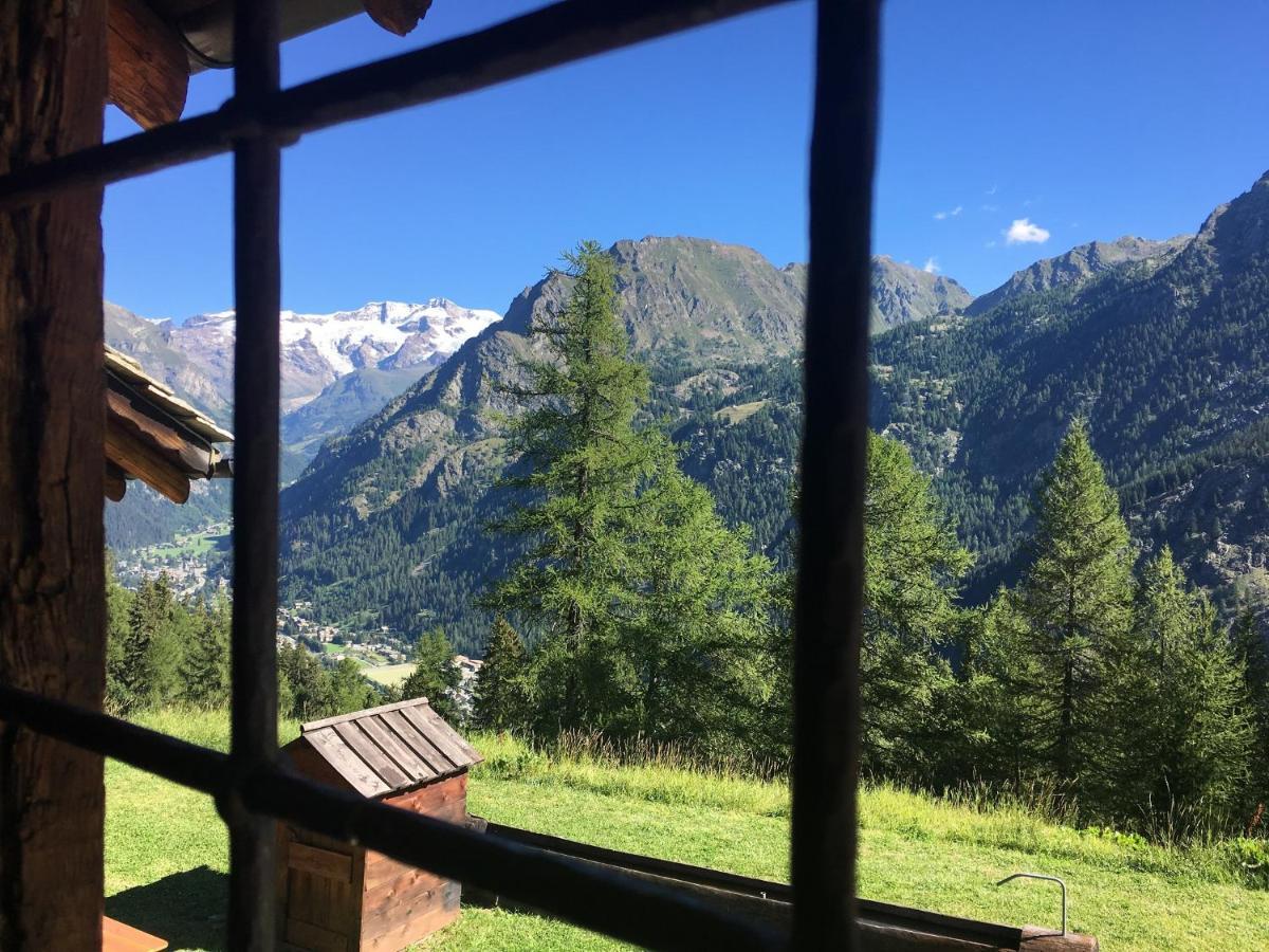 Baite Cialvrina Villa Gressoney-Saint-Jean Dış mekan fotoğraf