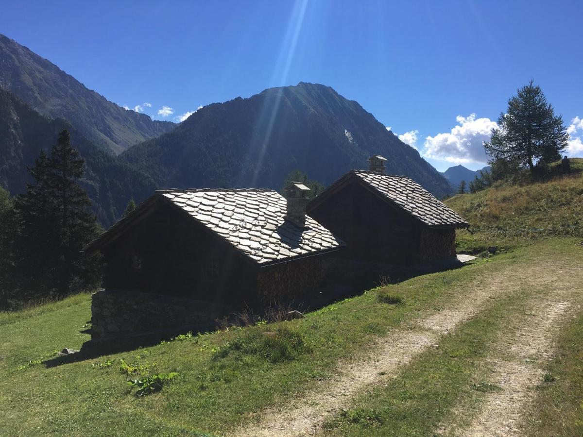 Baite Cialvrina Villa Gressoney-Saint-Jean Dış mekan fotoğraf
